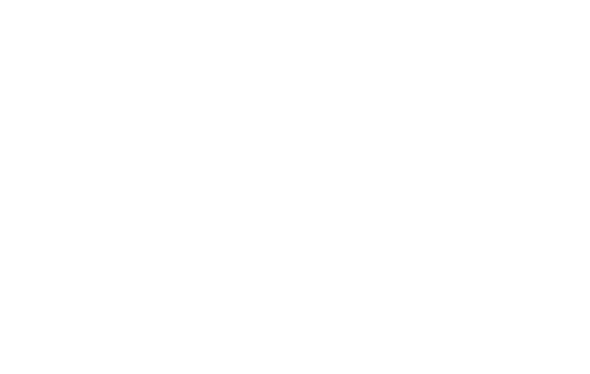 Adoption Icon depicting a heart interconnected with a "plus" symbol.