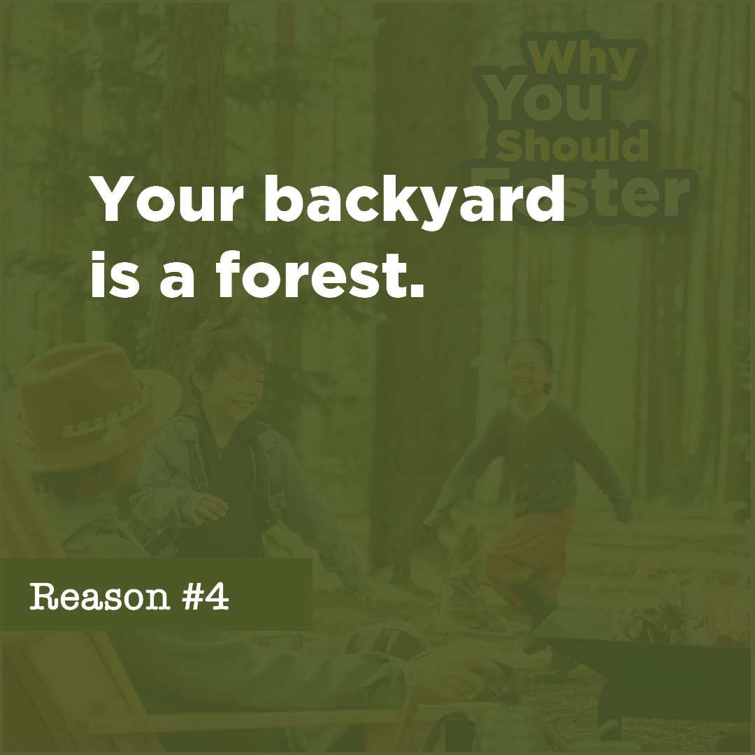 Your backyard is a forest.