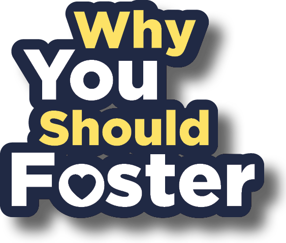 Why You Should Foster