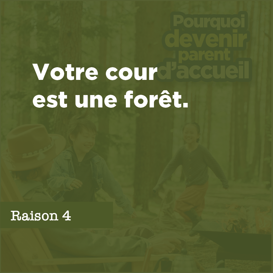 Votre cour est une forêt.