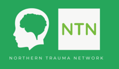 NTN Logo